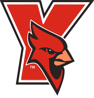 York (NY) logo