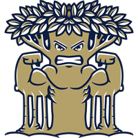 New Col. of Florida logo