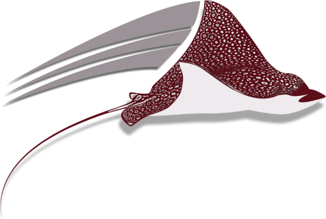 United Int'l (FL) logo